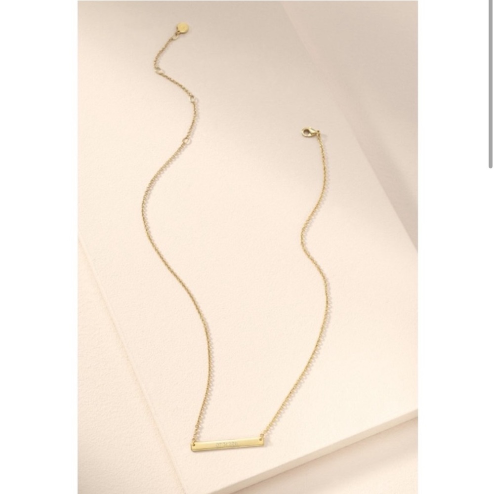 Stella and dot signature delicate necklace